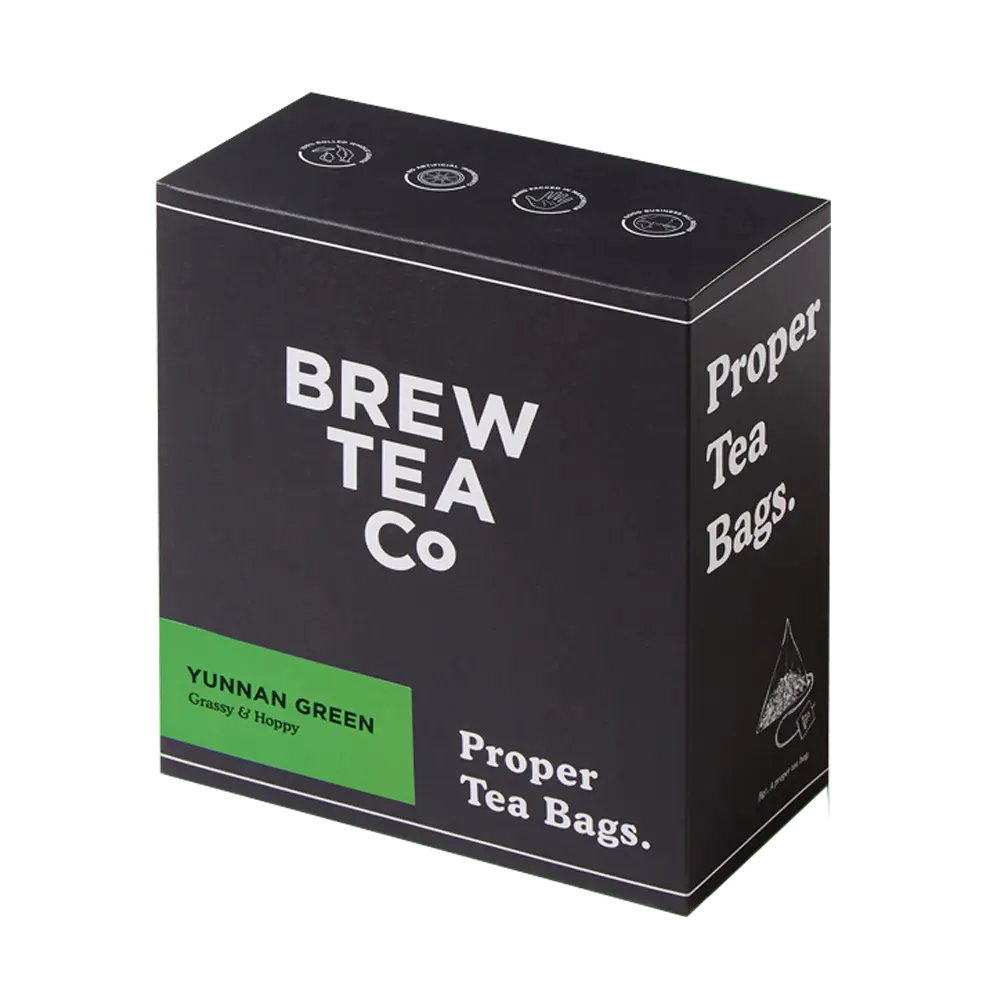 BREW TEA ENVELOPED GREEN TEA BAGS x 100