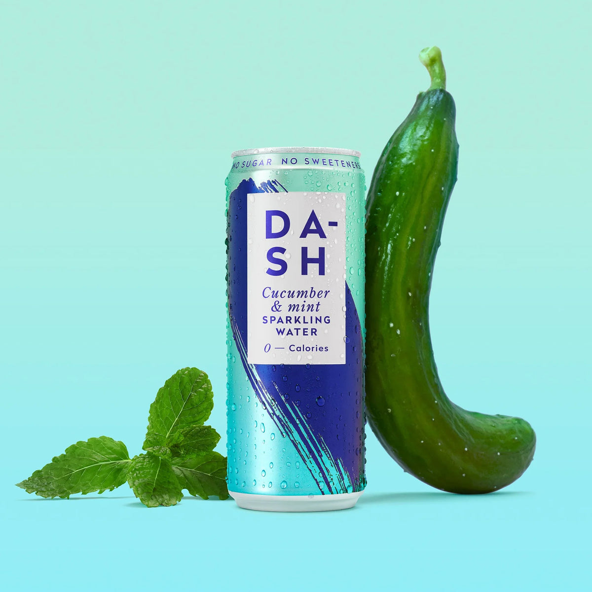 DASH SPARKLING CUCUMBER & MINT CANS (330ml) x 12